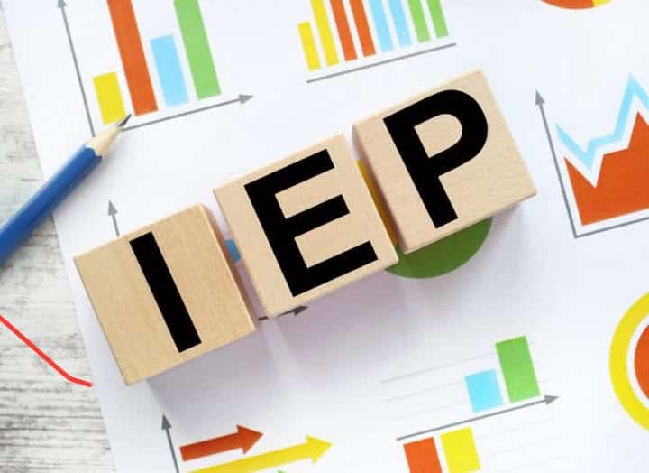 IEP Audit & Assistance