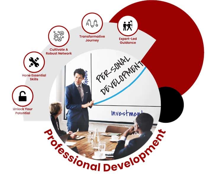 Professional Development consulting services