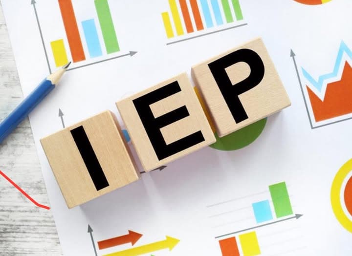 IEP Audit & Assistance image