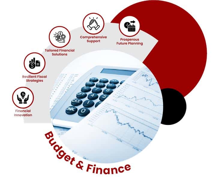 Budget & Finance consulting services